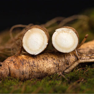 Fresh ginseng Changbai ginseng Paojiu Stew fresh ginseng Fresh keeping One yuan A ginseng