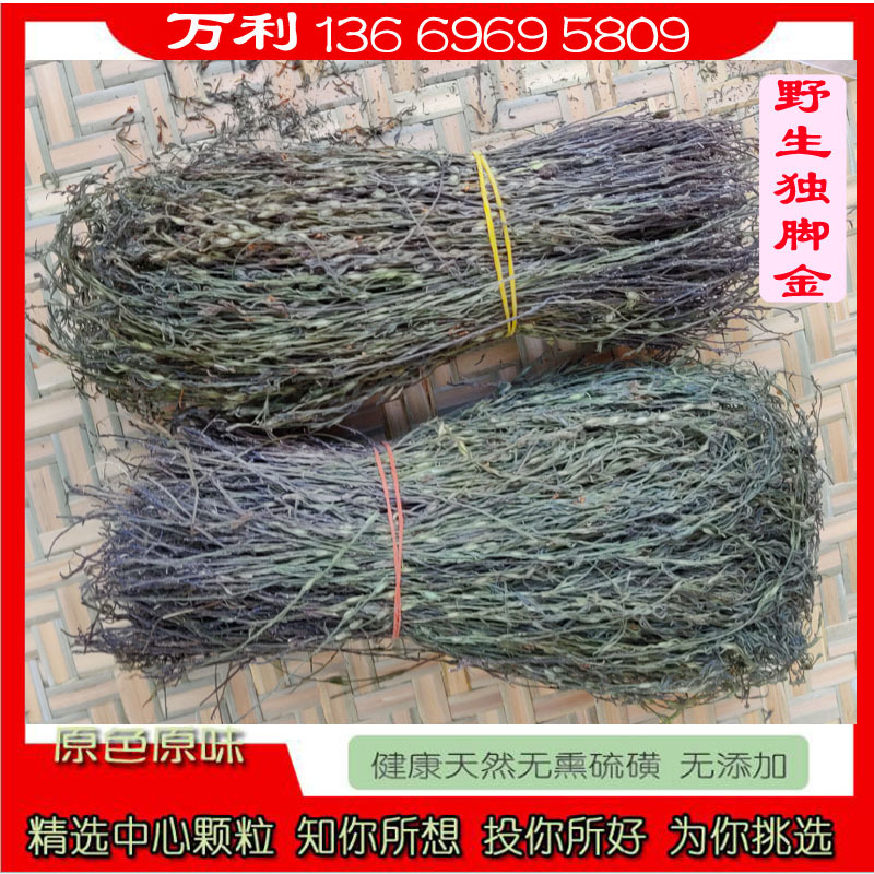 廣西野生獨腳疳 疳積草獨腳金 獨角柑 獨腳柑2019新貨小孩中材