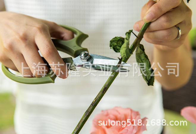 沃施尖头家用剪 1087修枝剪 盆景工具花木树.25家庭园艺剪刀