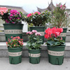 Plastic round resin, flowerpot for growing plants, increased thickness