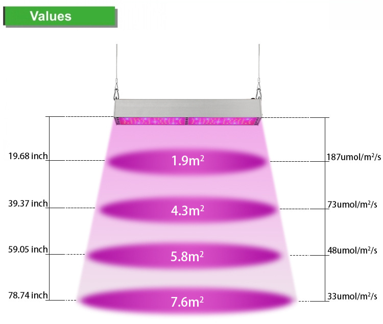 ֱLED50W 100WֲҴֶ֧ƹ