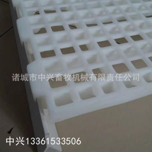 �B���W��� �����üS�� ���u���S��F؛����