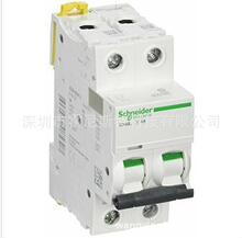 A9F92204 IC60L 2P Z4A�Ãr���·��VIGIIC65-ELE-2P 40A GS2LL3