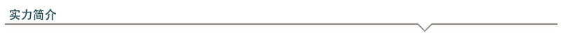 公司实力介绍_02