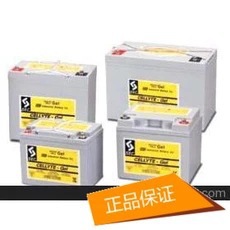 SEC蓄电池12V6H 铅酸免维护SEC蓄电池12TLA65  保三年