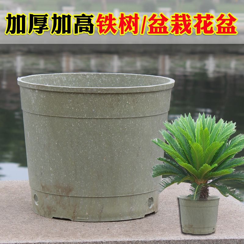 thickening heighten Large pots Plastic pots circular Manufacturer Cycads Potted plant Flower pot Tree Fruit tree