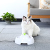 Cat electric water dispenser pet drink water heater cat drinking water heater automatic circulating dog feed water heater drinking bowl supplies