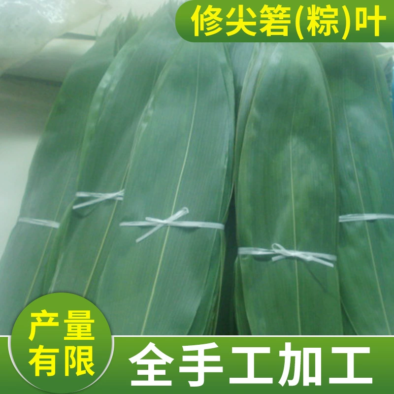 Острые тростниковые листья для свежего хранения оптом вакуумная 30 Упаковка свежие листья индокаламуса 30 см × 8 см Фестиваль лодок-драконов Тростниковые листья