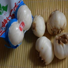 块茎类;百合;其他滋补