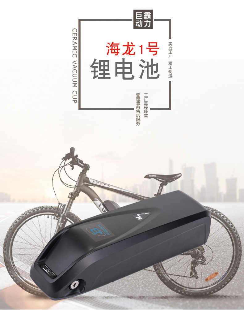 海龙款_03.jpg