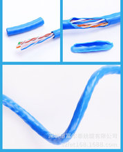 �h��RoHS�J�C ��� CAT6 0.57�o���~��������W���ͺ�ǧ��