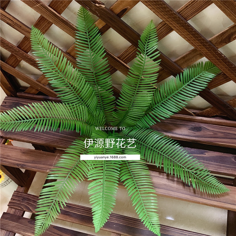 Simulation large iron leaves simulation green plant leaf fern grass…