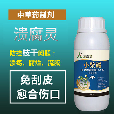 猕猴桃溃疡病的发病规律