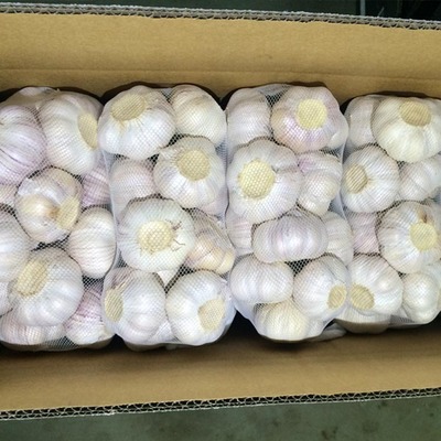 金鄉大蒜5斤産地直供山東紫皮蒜2020年幹蒜新鮮大蒜