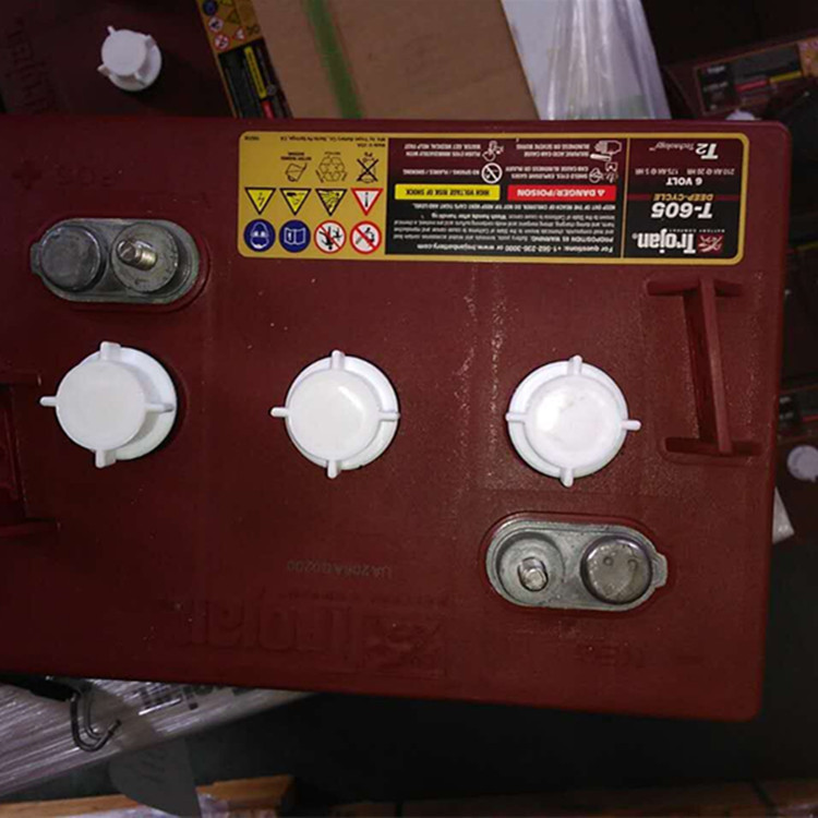 TROJAN 邱健蓄电池J305G-AC trojan-6V420AH洗地机 清洁车 包邮