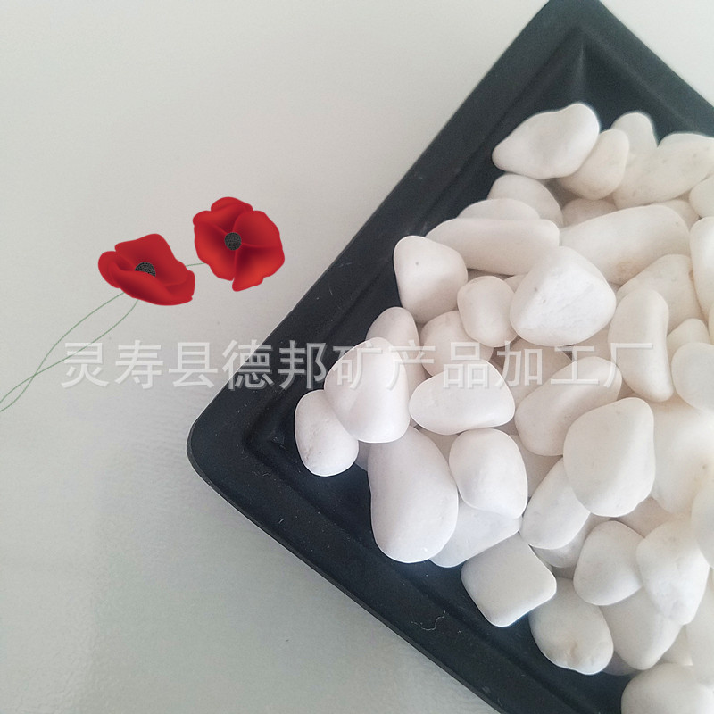 20190422_122904_副本.jpg