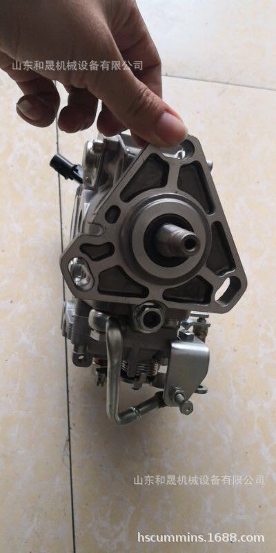 燃油泵4900804 (3)