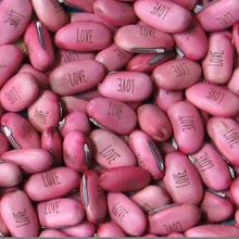 �Nֲ�L��������������ף�����ַNֲħ���t���׶����鶹����