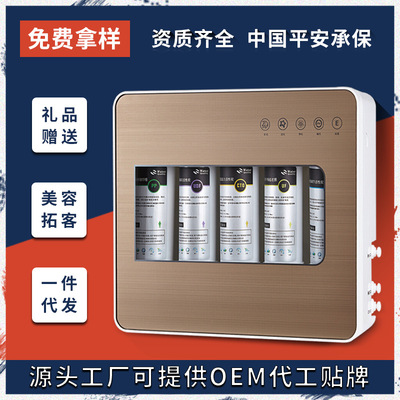 家用淨水器 OEM貼牌代工台式淨水機直飲廚房小五級能量機廠家批發