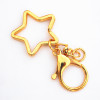 Keychain, metal golden bag accessory