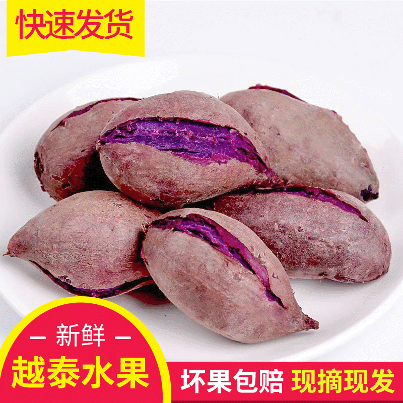 现挖新鲜红薯板栗番薯地瓜沙地蜜薯农家自种山芋微商包邮一件代发|ru