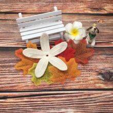 ˮ�ܼ��޾��̽�С�����N�ٽz���b�o�ϻ����߅����������߅����