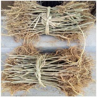 ̨���L��ɣ�����Xһ�� ̨���L��ɣ����r��̨���ļ��L��ɣ��DƬ