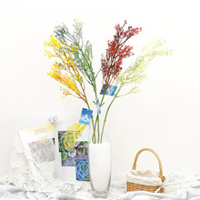 �羳��֦3��24Ŀ����ҹ�������ϻ��b� ���滨�������ҕ���[��