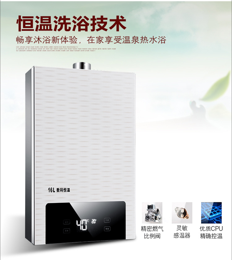 12L恒温燃气热水器强排数显 无氧铜水箱  批发|ms