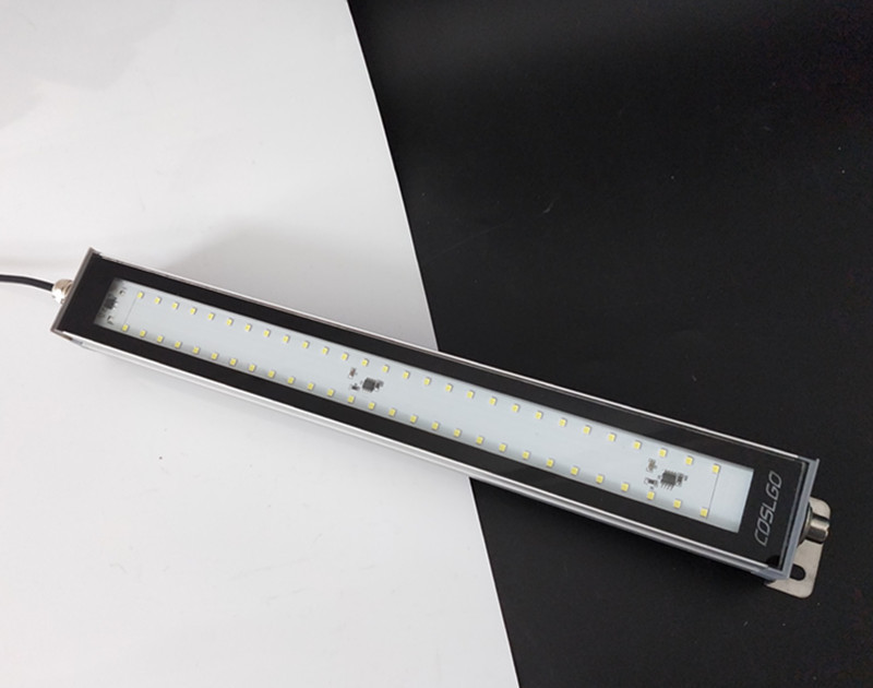 微信图片_20190601140248_副本