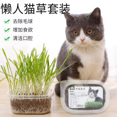 Lazy Cat Grass Set Wholesale Cat Snacks Nutritious Soil Wheat Seed Potted Hair Remover Pet Cat Supplies
