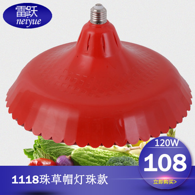 LED生鲜灯猪肉灯超市水果店蔬菜卖肉卤肉冷鲜肉熟食店专用照肉灯|ru