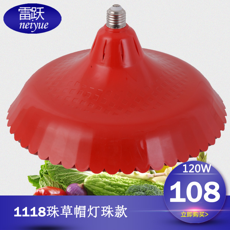 LED生鲜灯猪肉灯超市水果店蔬菜卖肉卤肉冷鲜肉熟食店专用照肉灯|ru