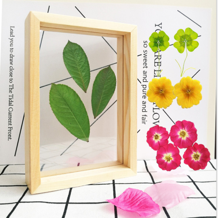 QQ图片20190306211243_副本.jpg?x-oss-process=image/format,png