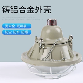 LED装饰灯;防爆灯;投光灯