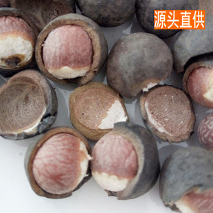 �a�����l�ؑc�͌� �͌��� �u�^��500g�r�aƷ����ă�