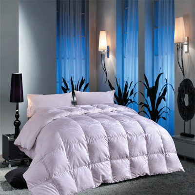 Down quilt thickening Goose down is The quilt core Genuine duvet 95 White Goose Down The quilt core Hilton Down quilt
