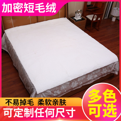 兔毛絨床毯床褥子仿澳洲羊毛絨羊羔絨床墊冬季1.2米1.8米保暖床毯