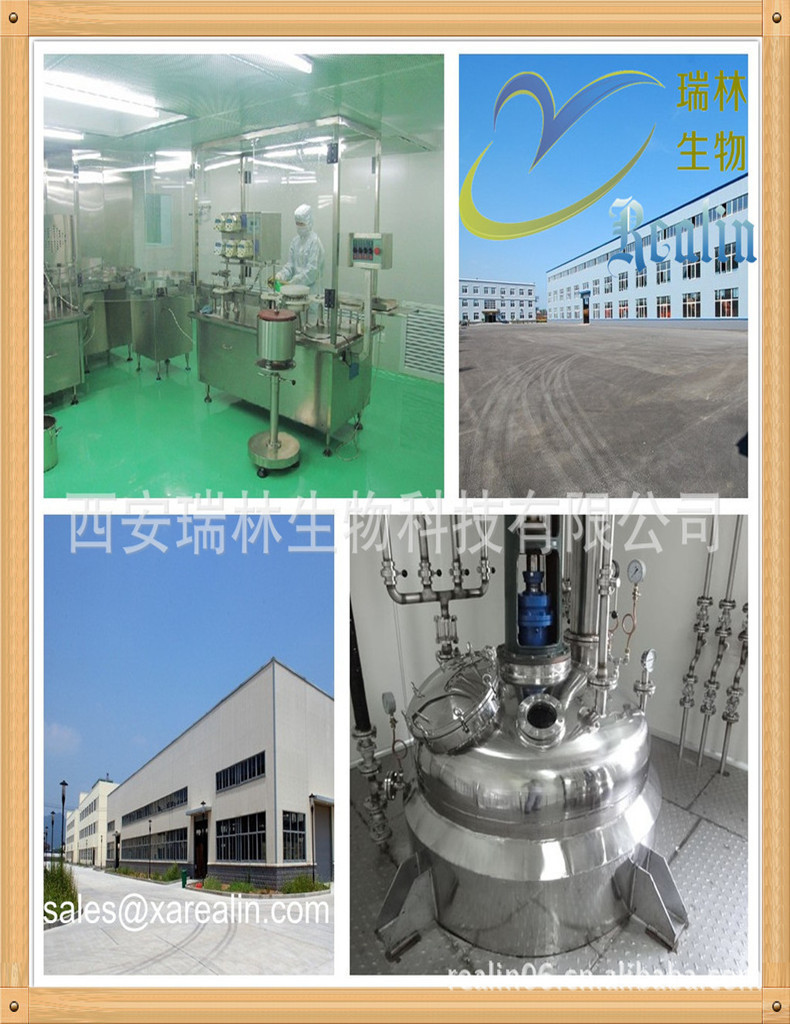 8547767481_859522935_副本