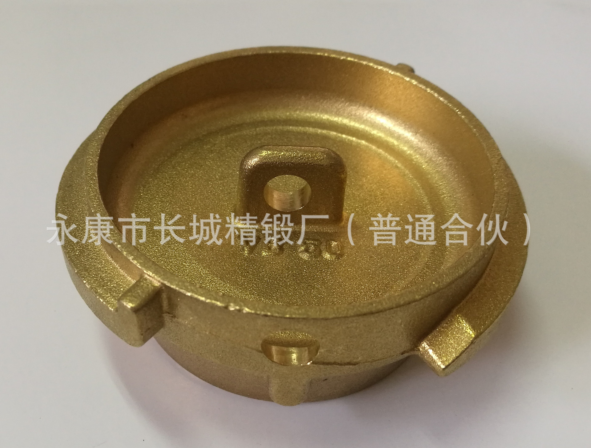 防尘盖 VB  铜 TW快速接口 DIN28450 槽罐车接口