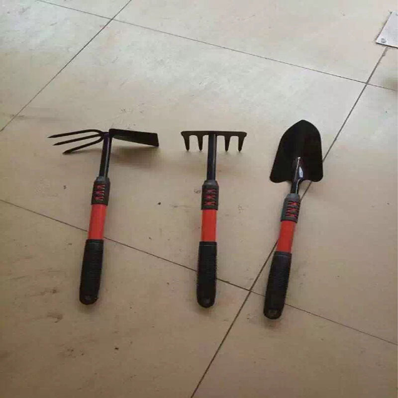 3217851039_1578675911