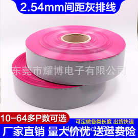 UL2651红边灰排线 28AWG 20P 1.0间距