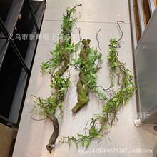 ��Ʒ�l���پG���b��ٗl����ֲë��̦����ֲ������ɽ�������l