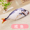 Realistic toy, plush mint fishes, wholesale, pet, kitten, cat, carp