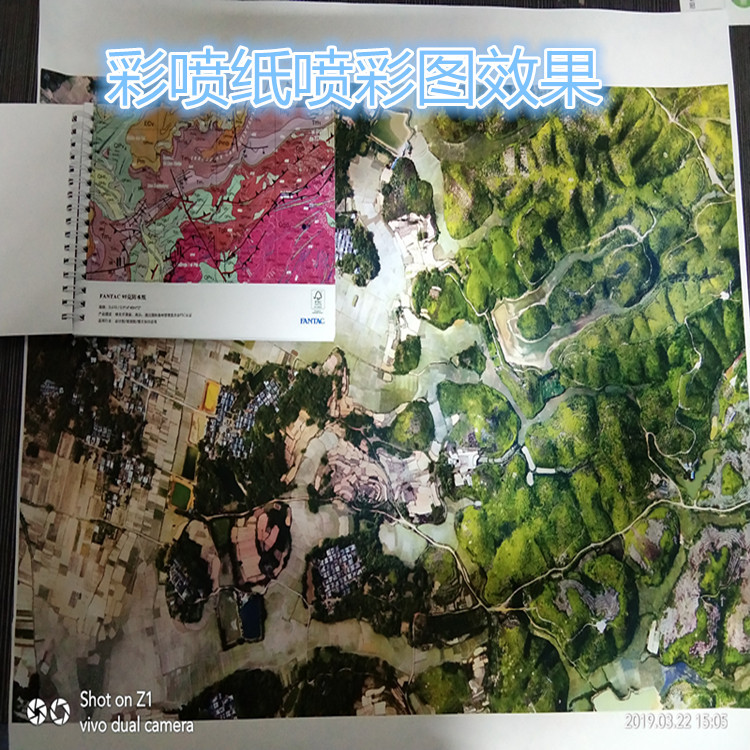 QQ图片20190322150811_副本