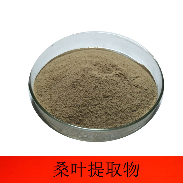 桑叶提取物 桑叶多糖25% 桑叶多糖 保健品原料1kg起订