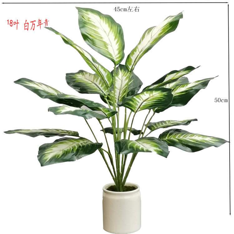 仿真绿植盆栽 白色万年青 假绿叶摆件酒店餐厅装饰绿化塑胶花