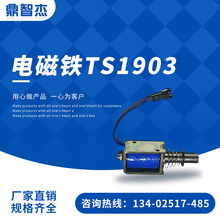 厂家苏州直供电磁铁TS1903 供应微型小型电磁铁医疗仪器电磁铁