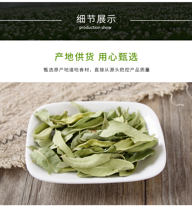 Luobuma Young Leaf & Bud (Apocynum venetum) — Xinjiang Dried Herbal Tea key features