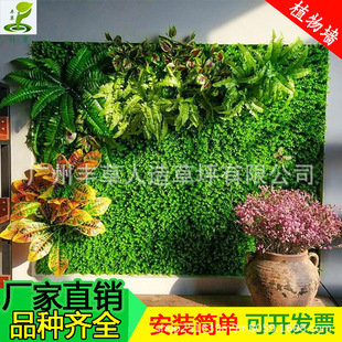 �컨����b����ϻ��Gɫֲ�����픸������ֲ�ﱳ�����G���ٲ�Ƥ